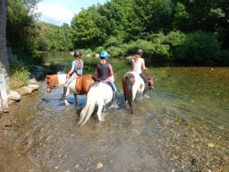 Poneys
